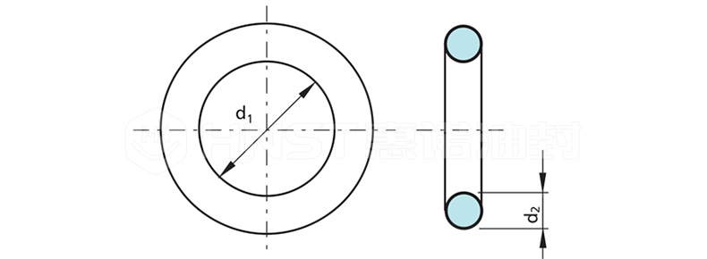 O型圈截面圖